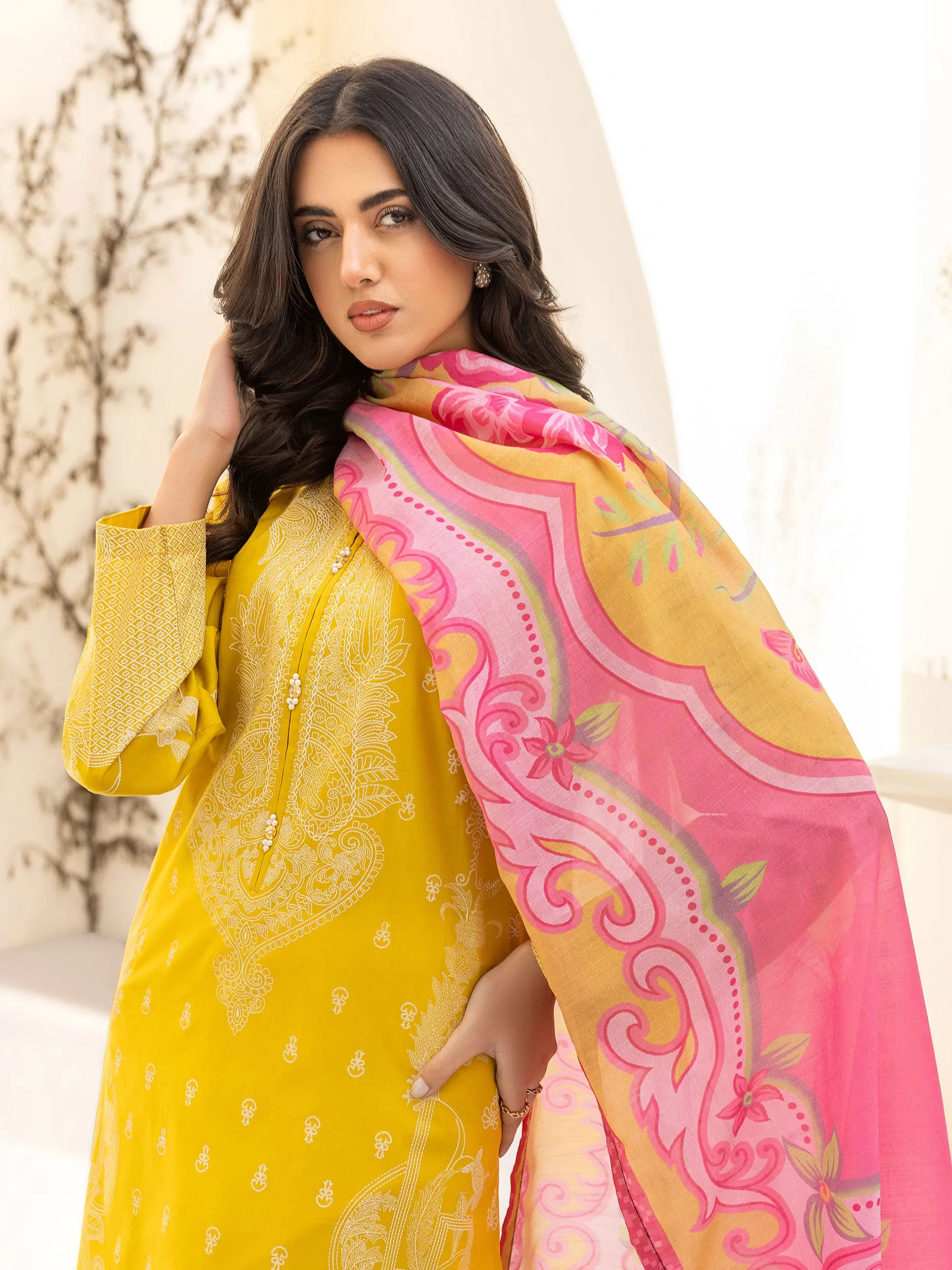 2 Piece Lawn Suit-Paste Print(Unstitched)