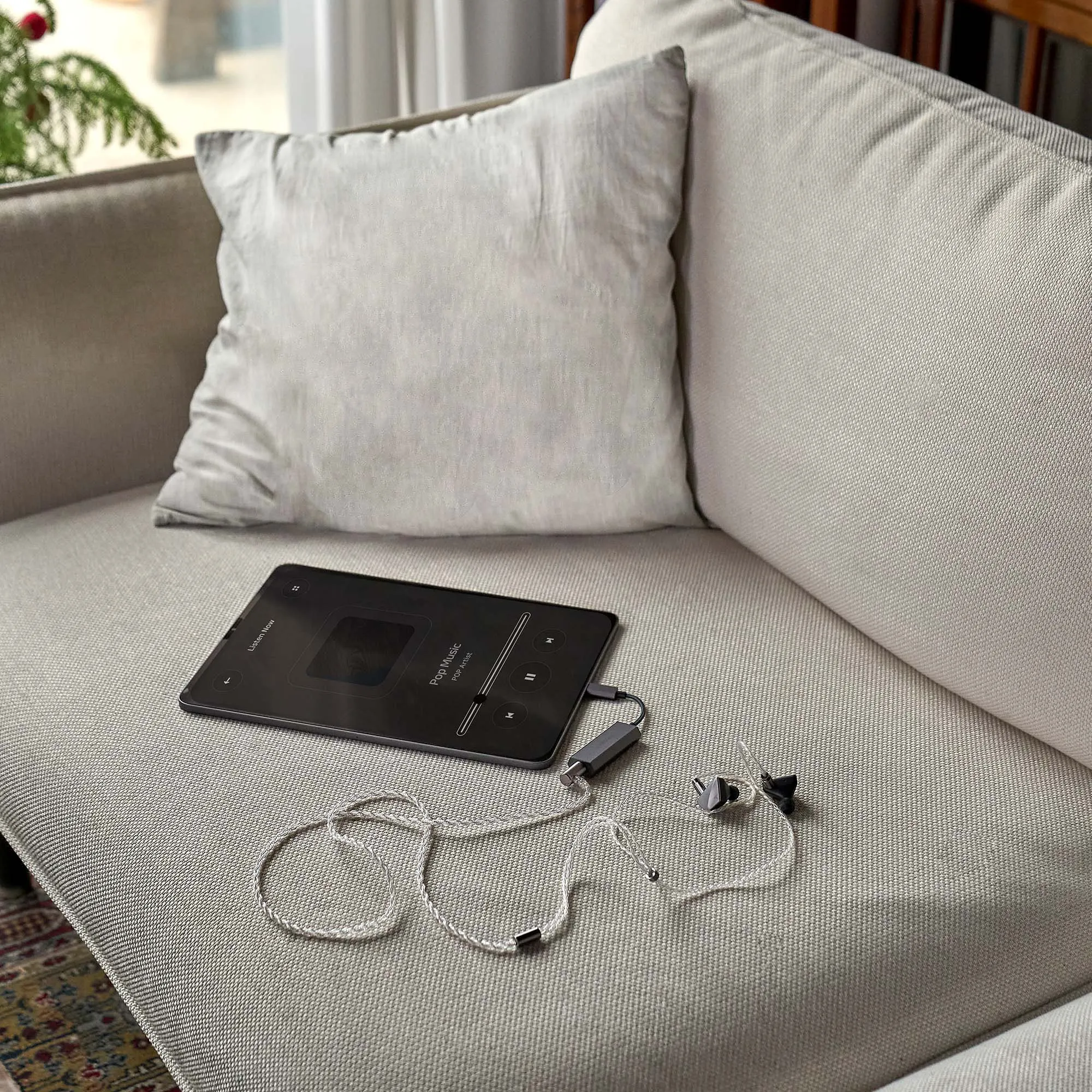 Astell&Kern AK HC2 USB-C Dual DAC Cable