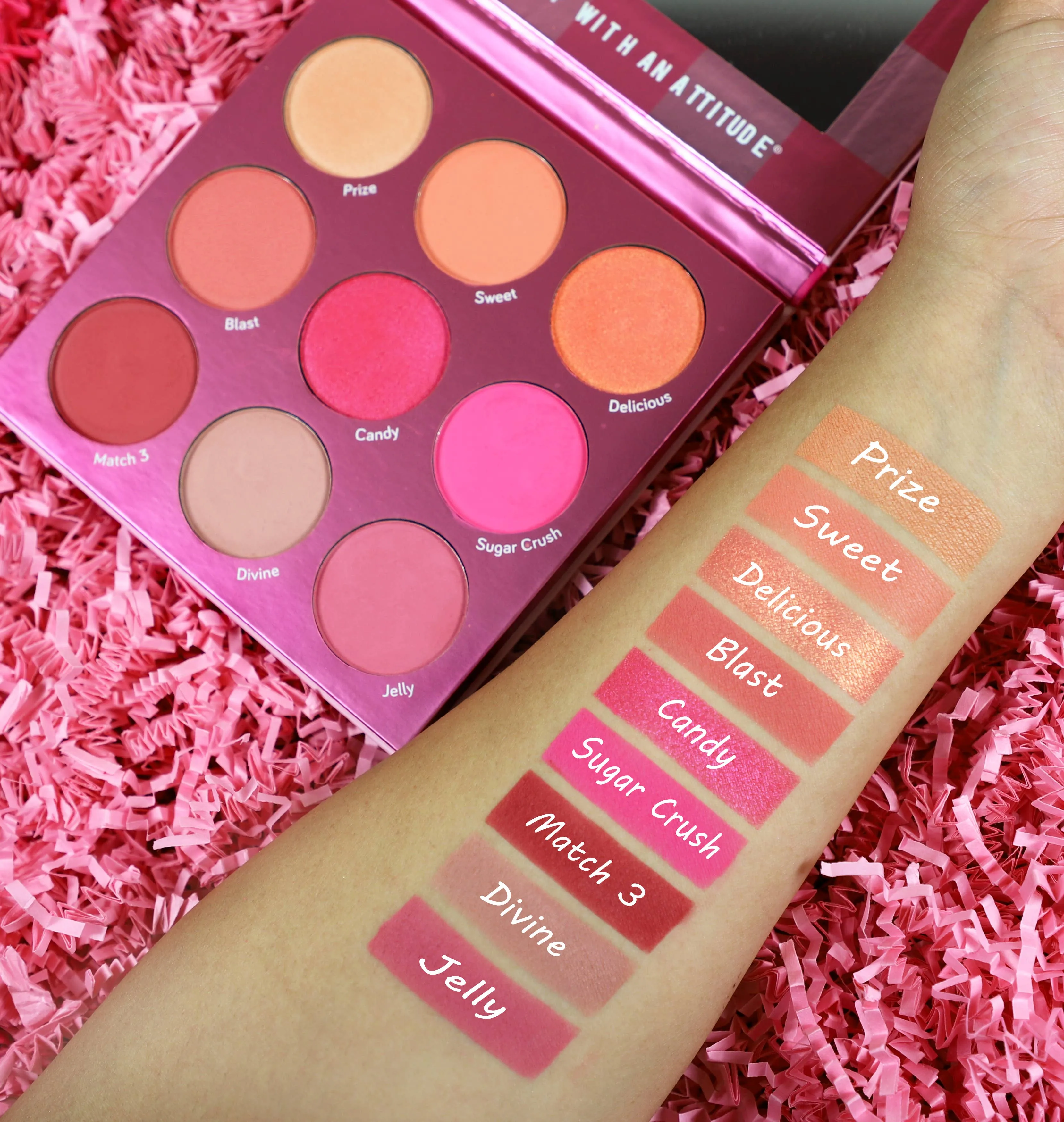 Blush Crush 9 Color Blush Palette - Match Three