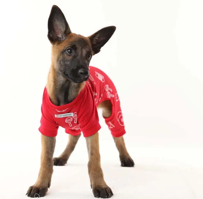 Pawrranda PJ - Dog Pijamas