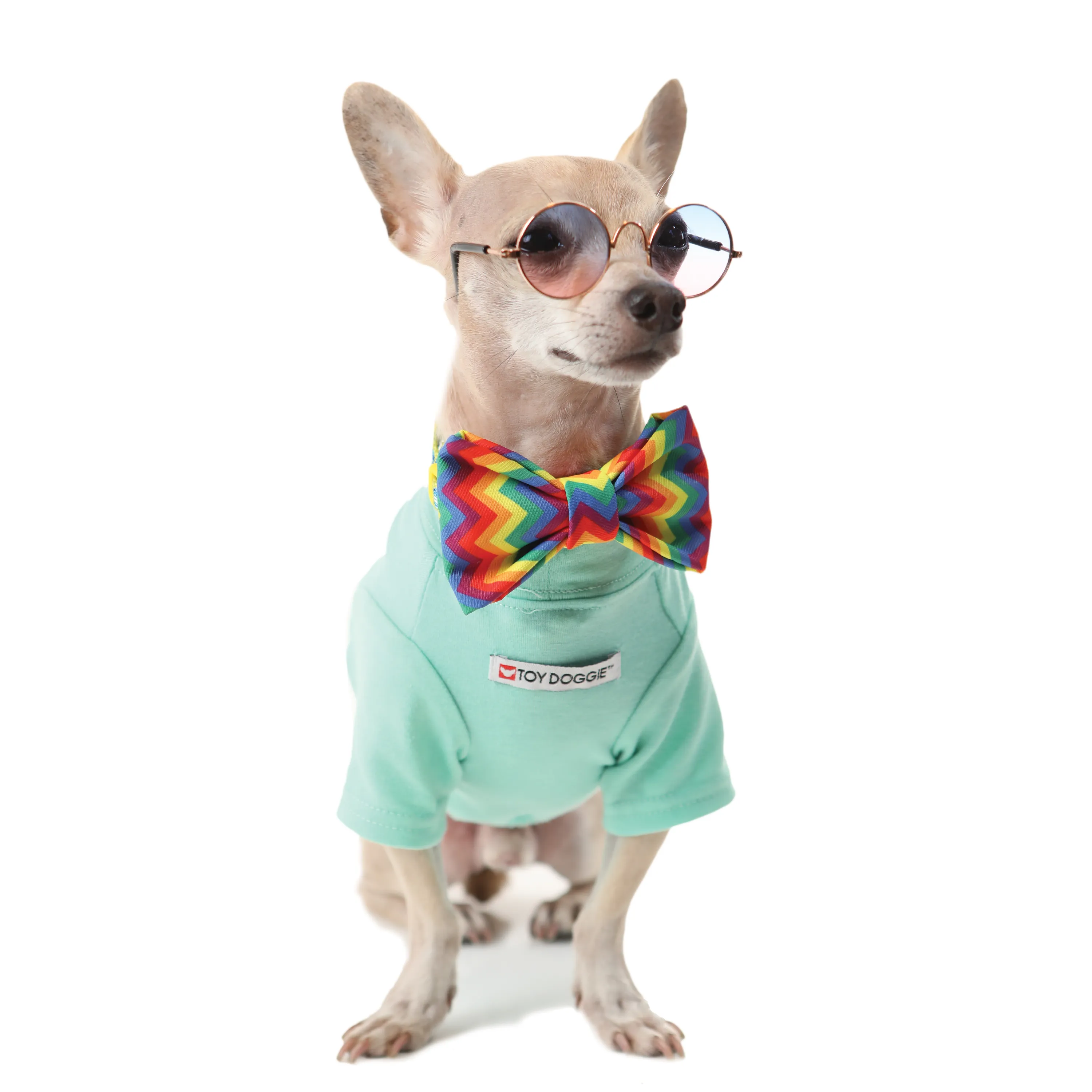 SPREAD LOVE - Pet Shirt