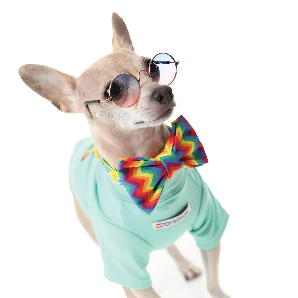 SPREAD LOVE - Pet Shirt
